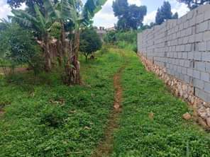 A picture of Good for home and rentals plot for sale in matugga