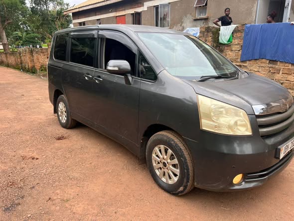 A picture of Noah on sale 28m 0706 145834