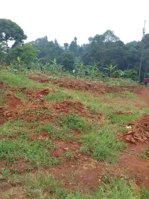 A picture of Plots for sale