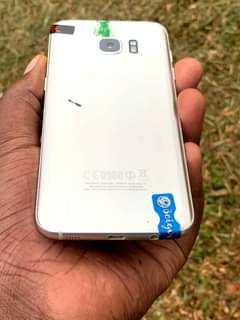A picture of S7EDG SLIVER