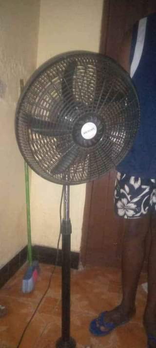 A picture of fen