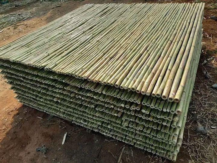 bamboo bed