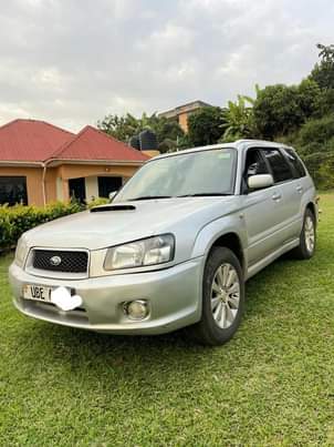 A picture of Subaru forester crossport