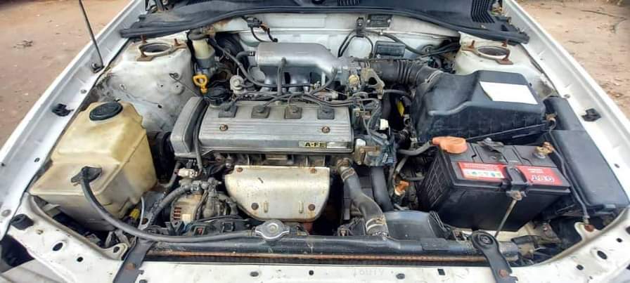 A picture of Premio Old