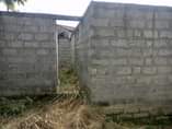 A picture of PANAUZWA MILION 6 2