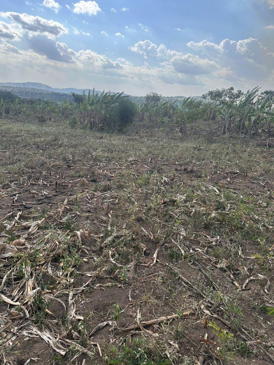 A picture of Acres of Land