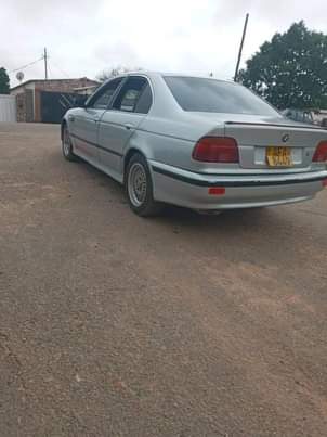 classifieds/cars bmw