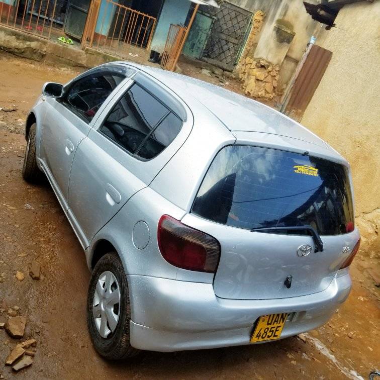 A picture of Vitz