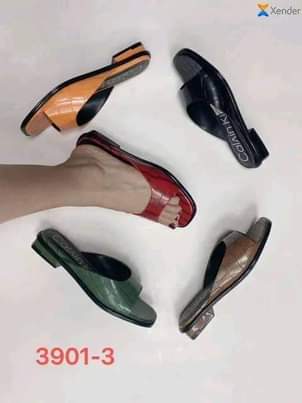 A picture of Female shoe
