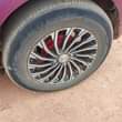 A picture of Vitz