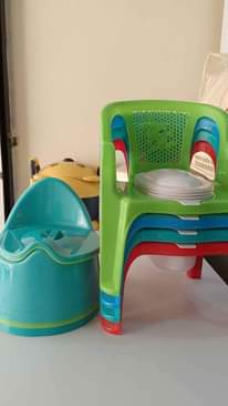 A picture of Baby potties Duck Potties