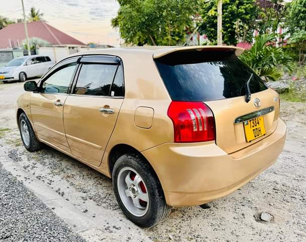 A picture of Toyota allex