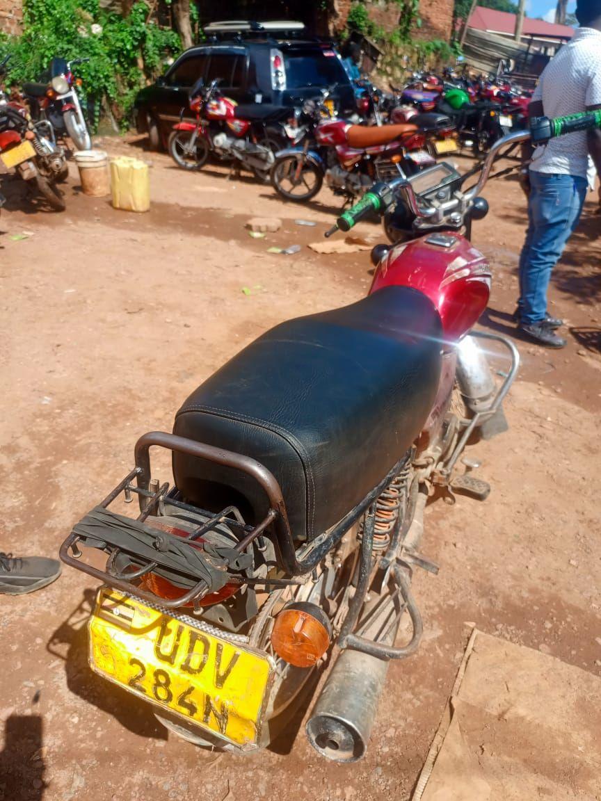 motorbikes