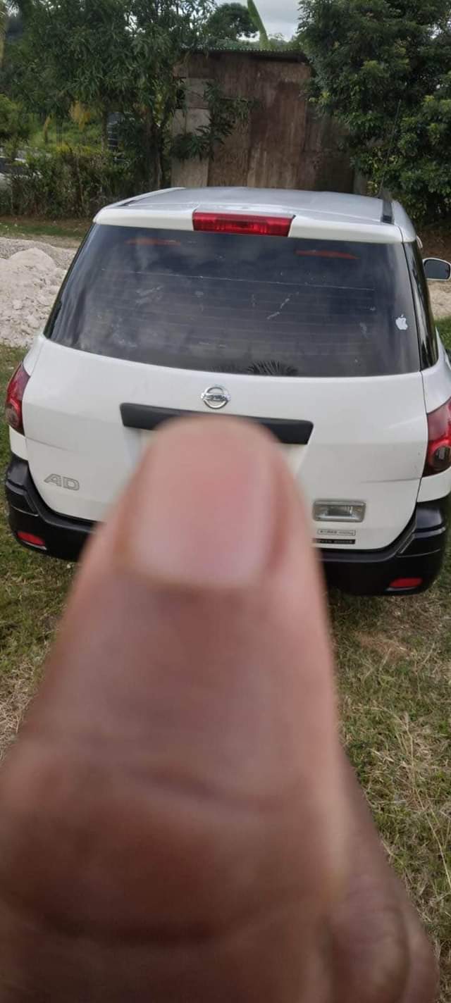nissan ad wagon