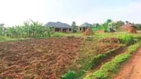A picture of Get your self a plot too from 5m near the
