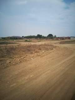 stands