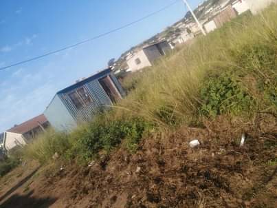 Kzn C.