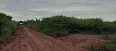 A picture of Land