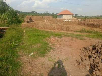A picture of Plot for sale 200ft 200ft kasangti town at 60m