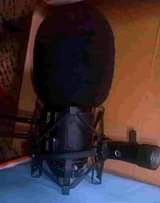 A picture of Recording studio mic