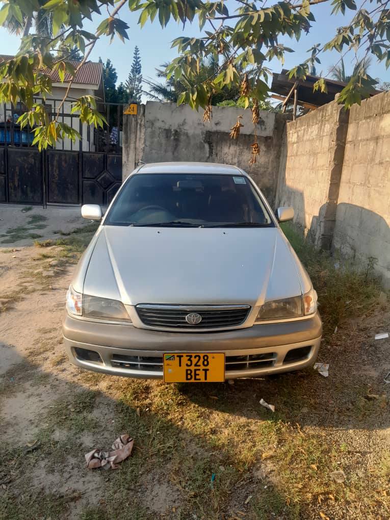 A picture of Premio old