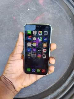 Cellular K.