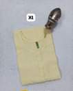 A picture of lakhnavi kurti