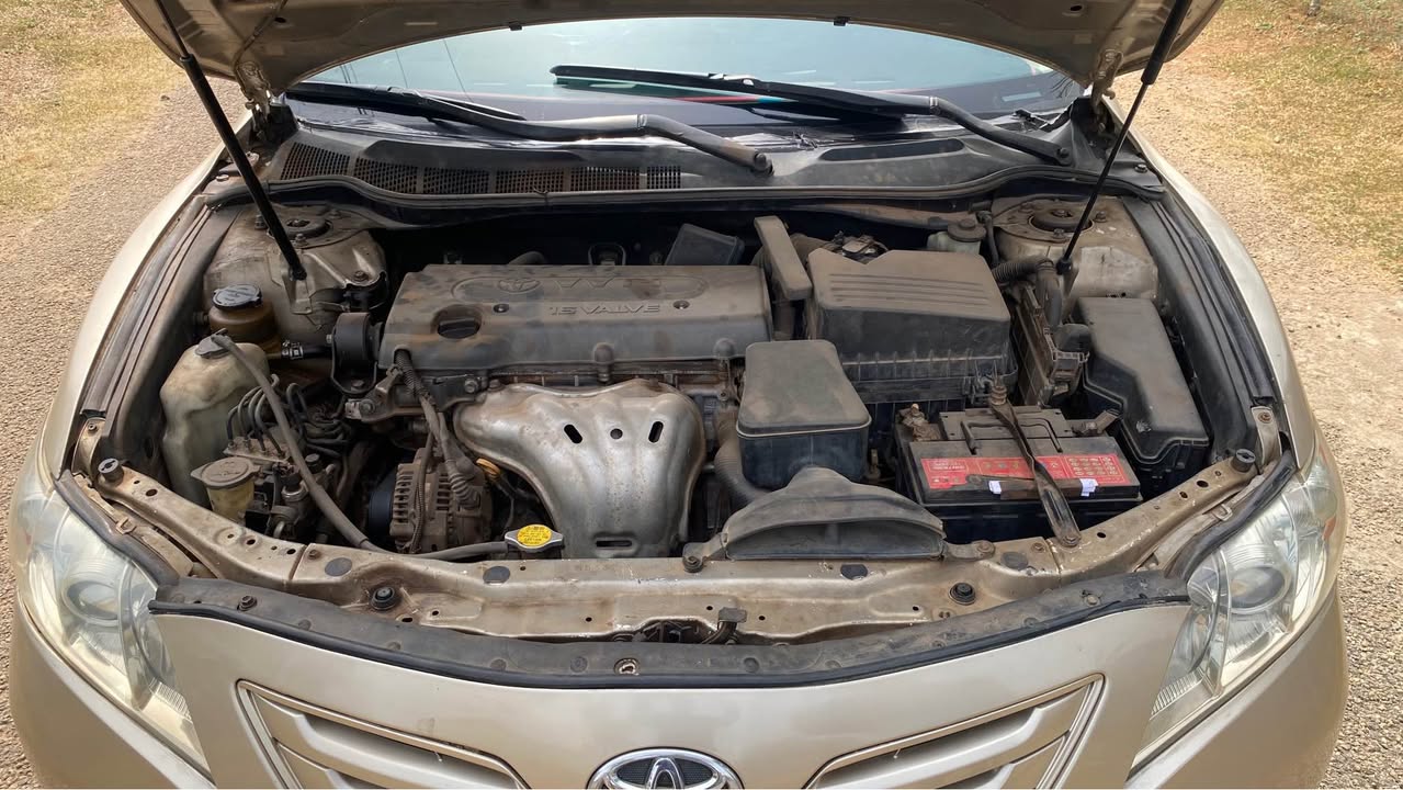 A picture of BELGIUM STANDARD CAMRY 2009