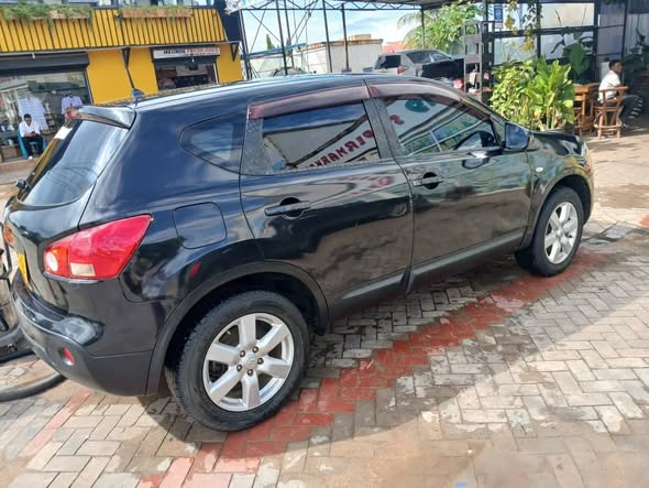 A picture of Nissan dualis