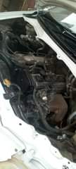 A picture of Noar