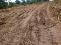 A picture of PLOT 50x50Ft ON QUICK SALE 3M located at matugga kiwebwa