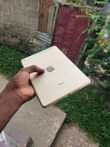 A picture of Ipad mini 4