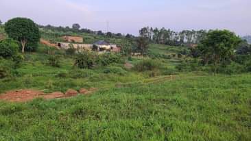 A picture of 0774591471 0709106274.. WAKISO PLOTS FOR SALE 40X40FT 10M UGX THOUGH