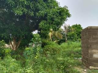 A picture of KIMBIA KODI UWAHI HIKI KIWANJA