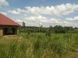 A picture of Get your own plot today New site opened located matugga