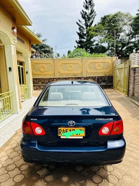 used toyota corolla