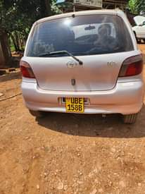 A picture of Vitz