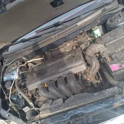 A picture of 2004 Corolla 2004