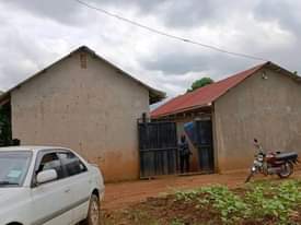 A picture of  Rentals on quick sale Located matugga kavure Seated on