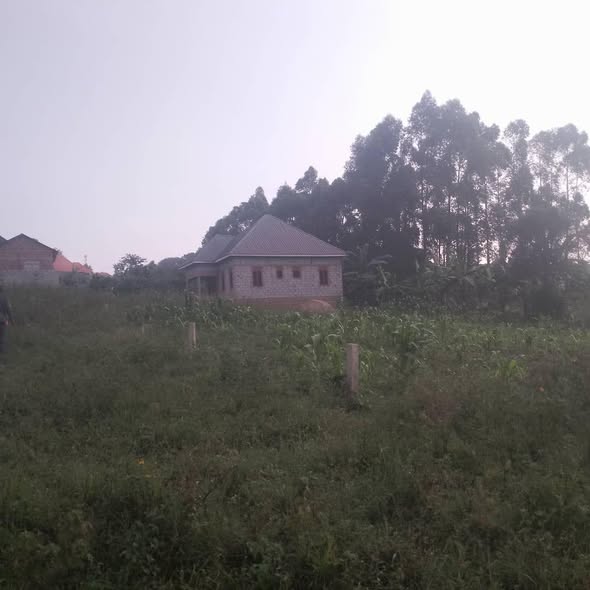 A picture of Plots of Land
