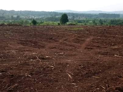 A picture of 7.5m MATUGGA KANYANDA 2km 50plots NEW ESTATES with ready land