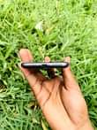 A picture of IPHONE 8