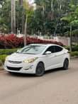 A picture of  NIZZYCAR PLUG .. Belgium standard Hyundai Elantra 2015 Model
