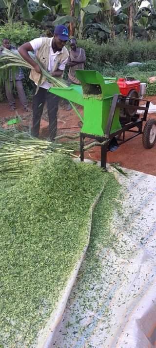 A picture of Silage chopper