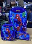 A picture of Trolley bags