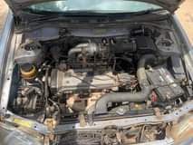 A picture of Starlet