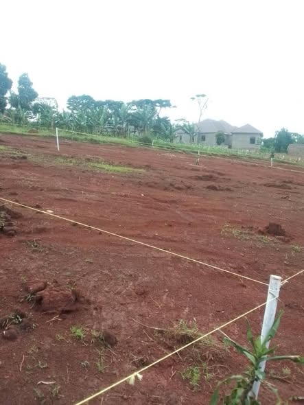A picture of Plots for sale Nansana wakiso district 13 5m