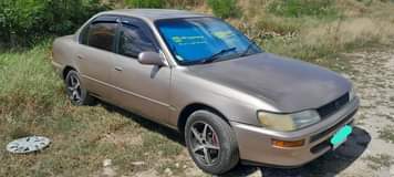 Sales M.