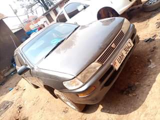 A picture of Corolla Kikumi For Sale 0754863448 