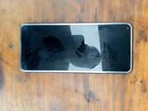 A picture of Phone